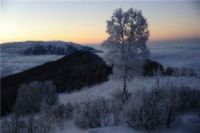Кавказский заповедник приглашает любителей снежных пейзажей