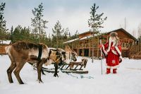 К карельскому Деду Морозу на оленях и собачьих упряжках