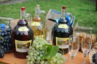 Фестиваль винограда и виноделия Донская Лоза пройдет в Ростовской области