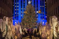 Главная рождественская ель установлена в Нью-Йорке