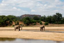Зимбабве (Гонарежу Национальный парк)