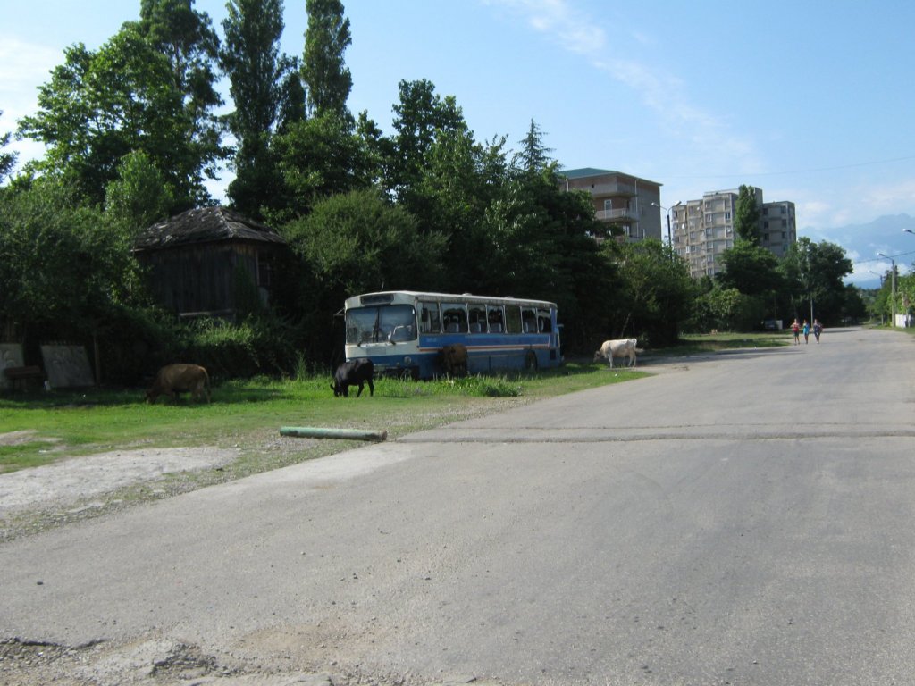 Гудаута, Абхазия фото #17078