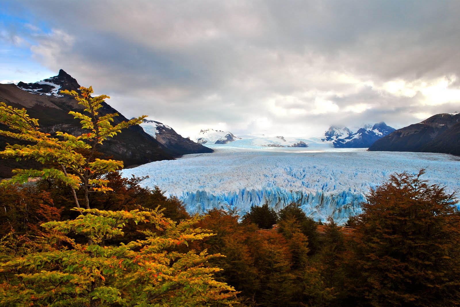 Acompañantes Argentina