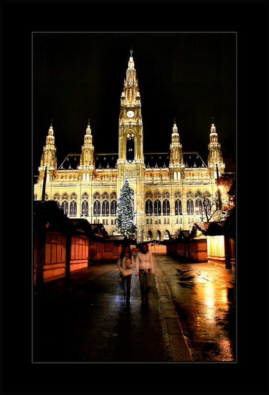 Night in Vienna - Вена, Австрия фото #2609