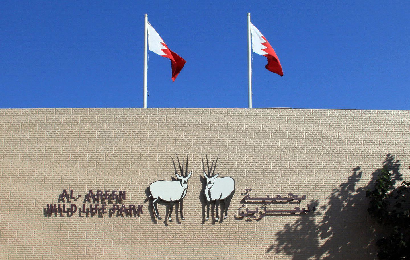 Парк дикой природы Аль-Арин в Бахрейне - Бахрейн фото #7859