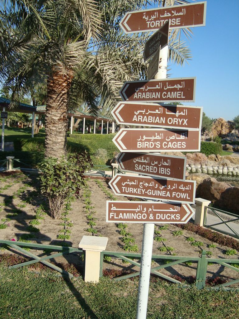 Парк дикой природы Аль-Арин в Бахрейне - Бахрейн фото #7861