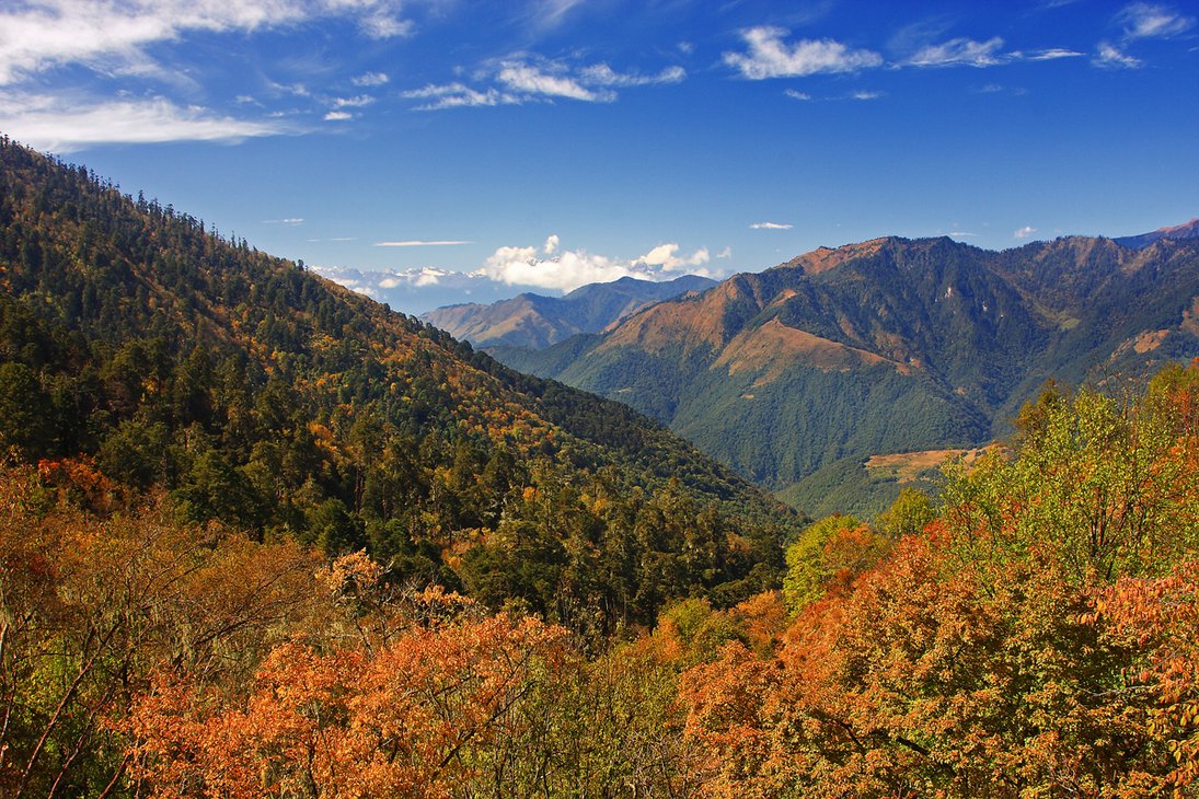 Бутан фото #10893