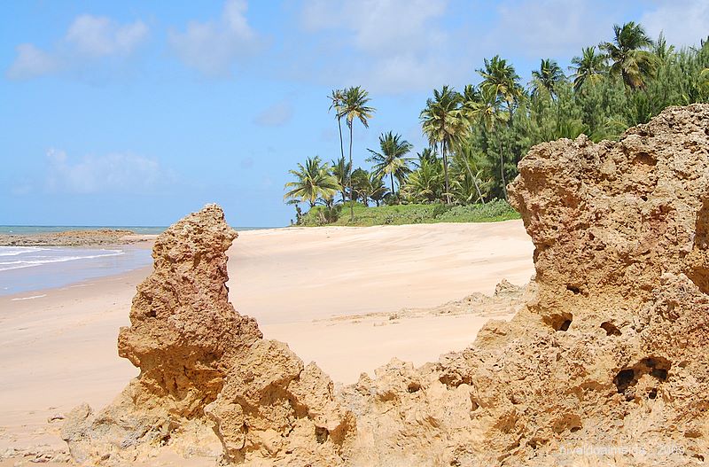 Coqueirinho Beach, South Coast of the State Para&#237;ba, Northeastern Brazil - Бразилия фото #3045