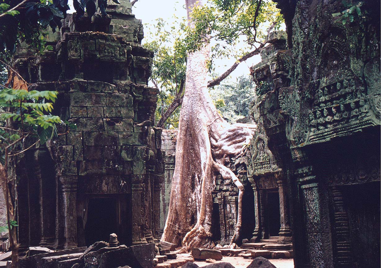 Камбоджа фото #18138