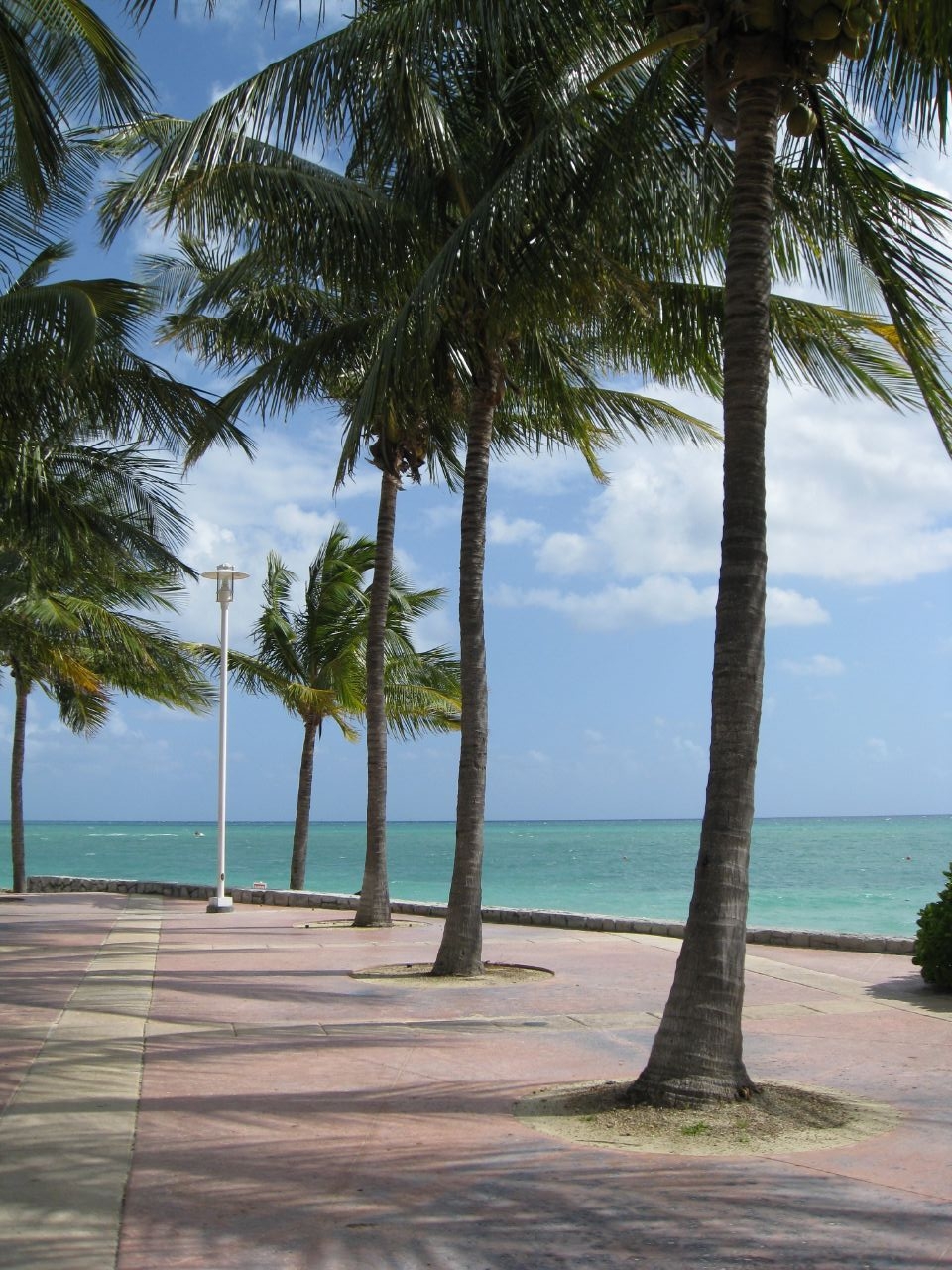 Lucaya - Содружество Багамских Островов фото #7923