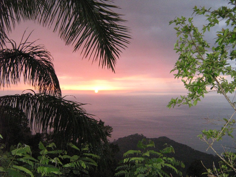 Кост климат. Коста Рика климат. Климат Коста Рики. Коста Рика джунгли. Коста Рика природа климат.