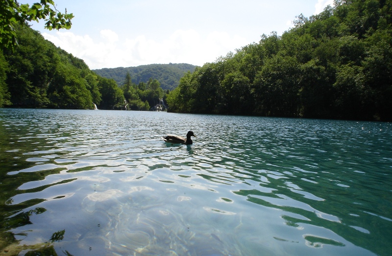 Plitvice Lakes - Хорватия фото #2924