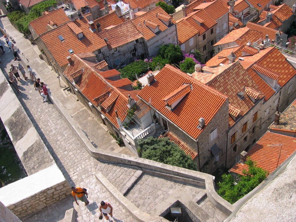 Дубровник, Хорватия фото #11547