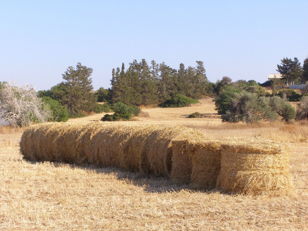 Полис, Кипр фото #17517