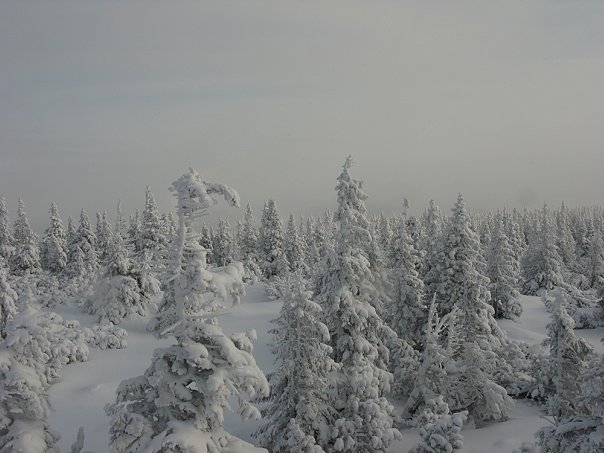 гора Снежка - Пец-под-Снежкой, Чехия фото #7236