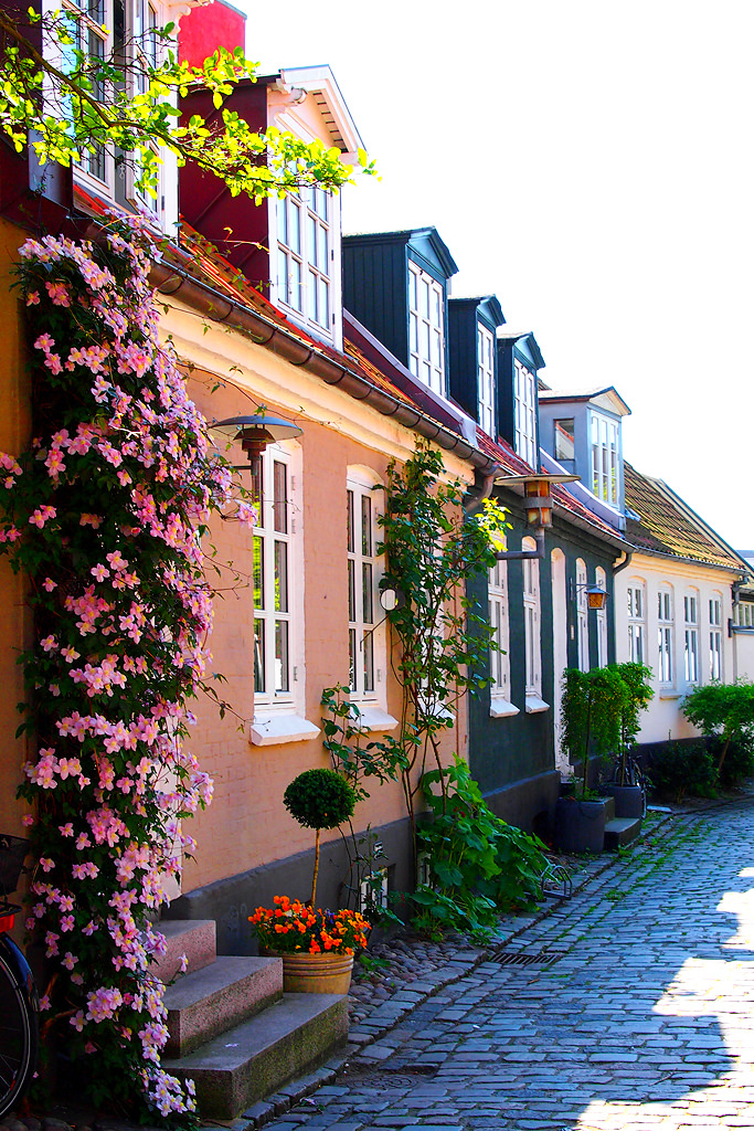 Орхус, Дания фото #27434