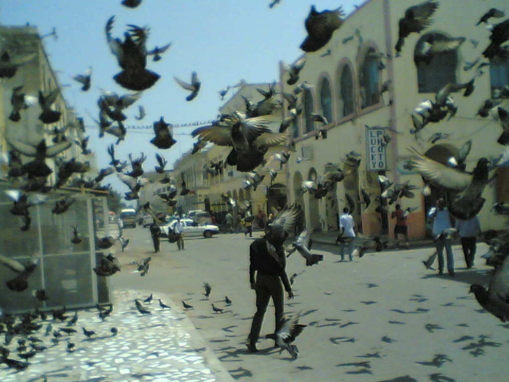 Джибути фото #11372