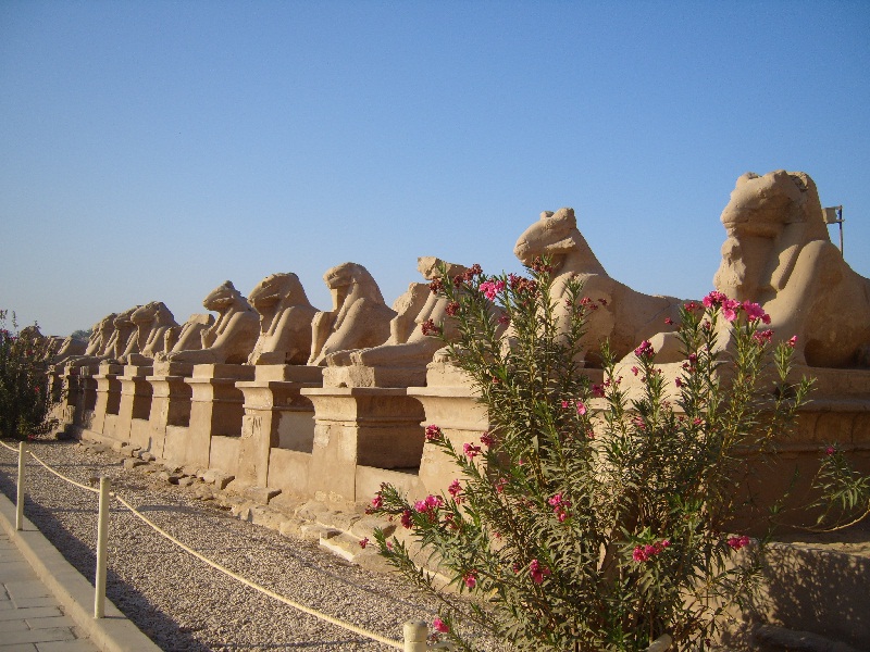 Ram-Sphinx - Karnak Temple - Египет фото #2556