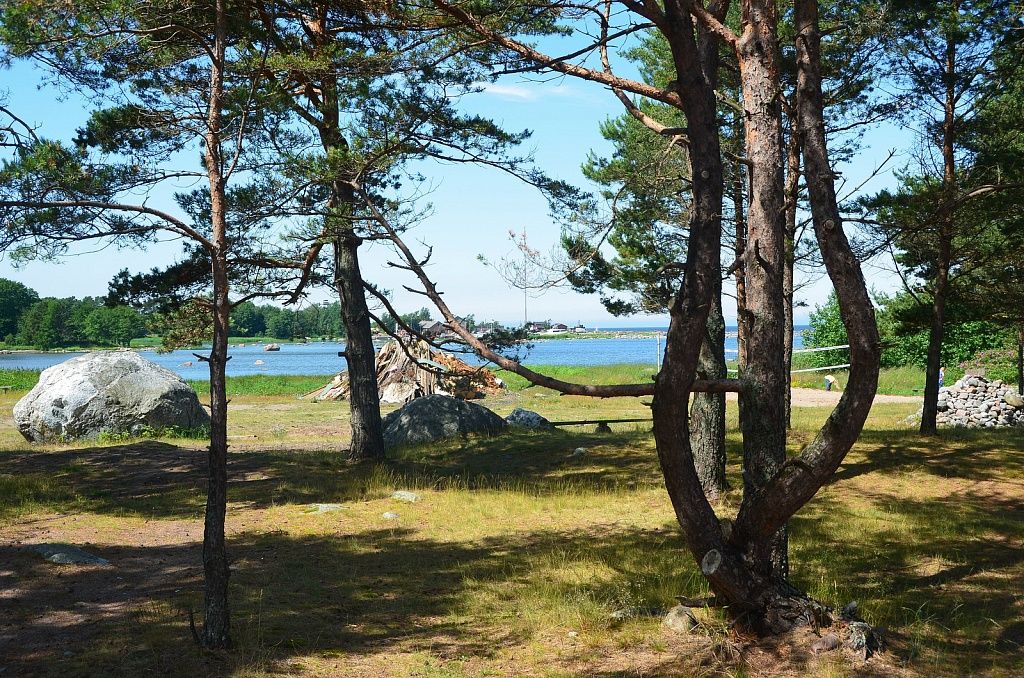 Остров Прангли, Эстония фото #23033