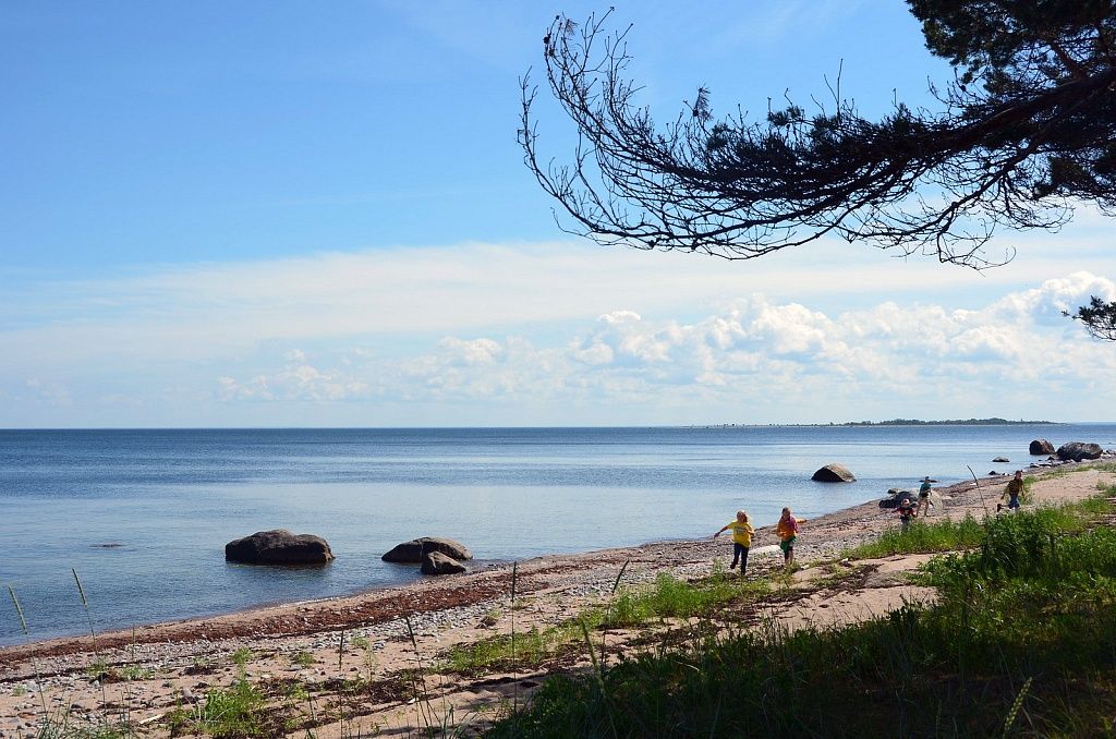 Остров Прангли, Эстония фото #23035