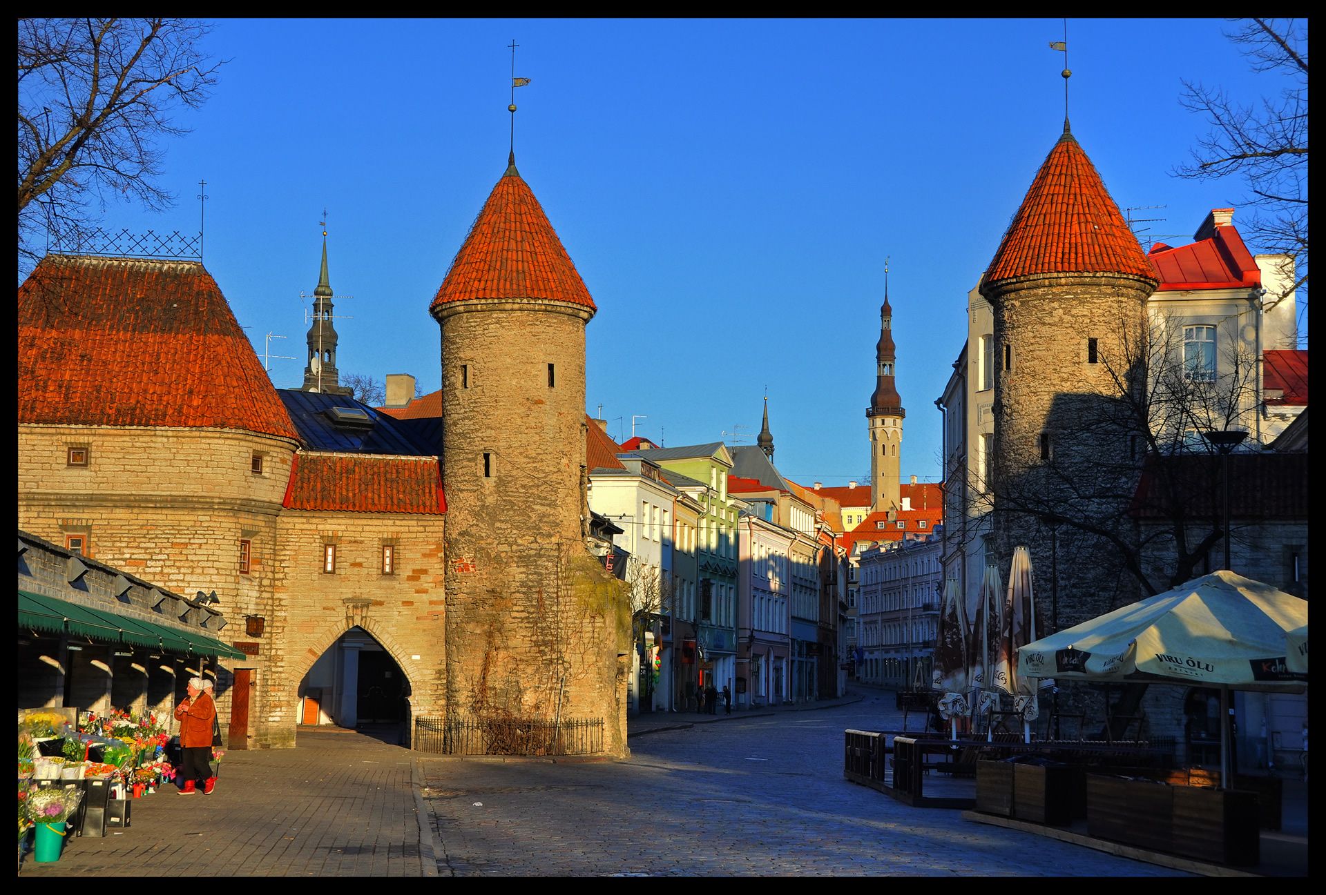 Таллин, Эстония фото #11576