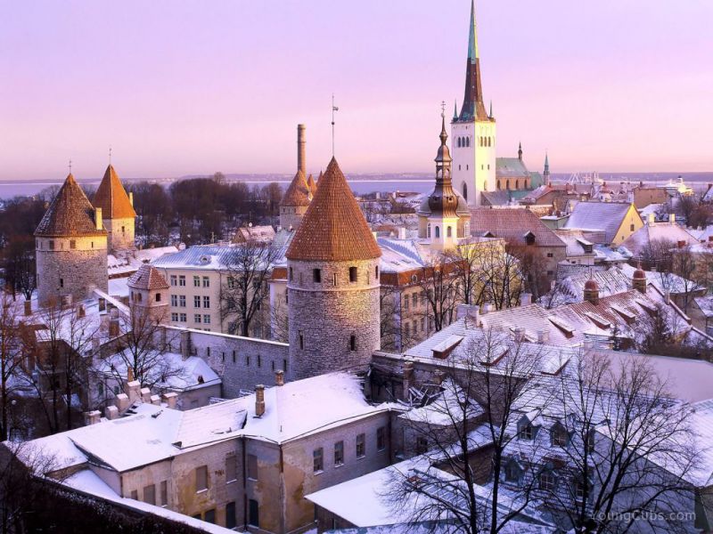 Таллин, Эстония фото #28324