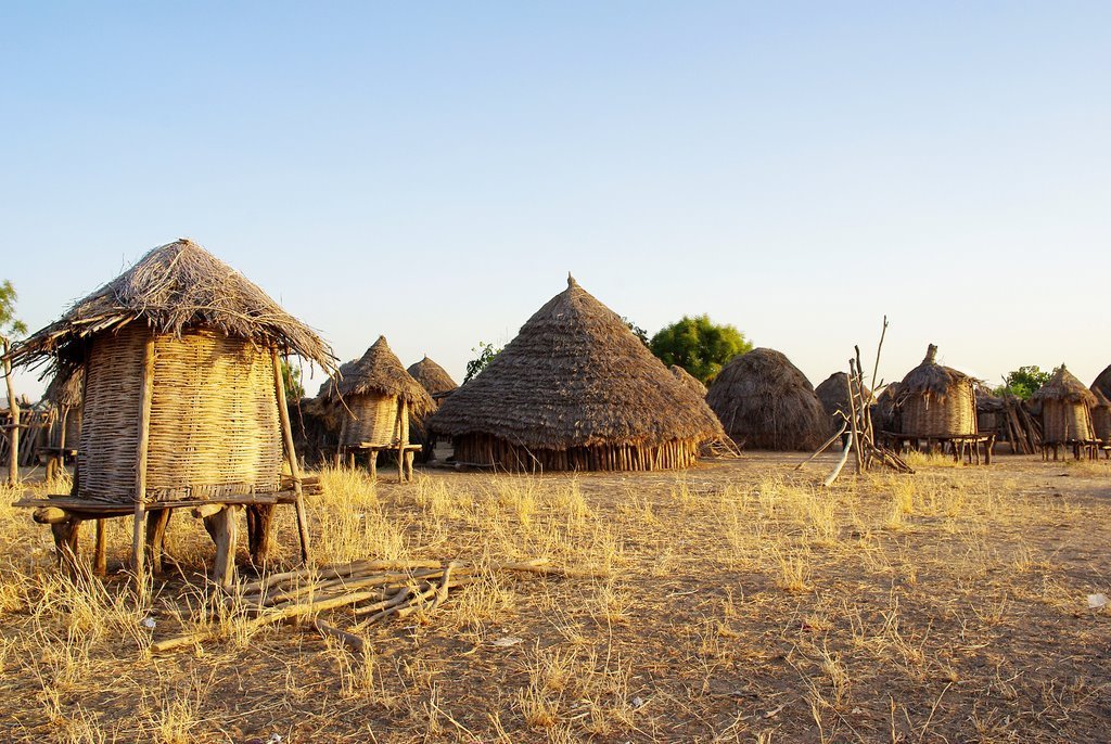 Ethiopia country. Традиционное жилище эфиопов. Эфиопия Хижина. Эфиопия традиционное жилище. Хижины эфиопов.