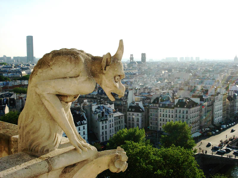 Notre Dame - Париж, Франция фото #3291