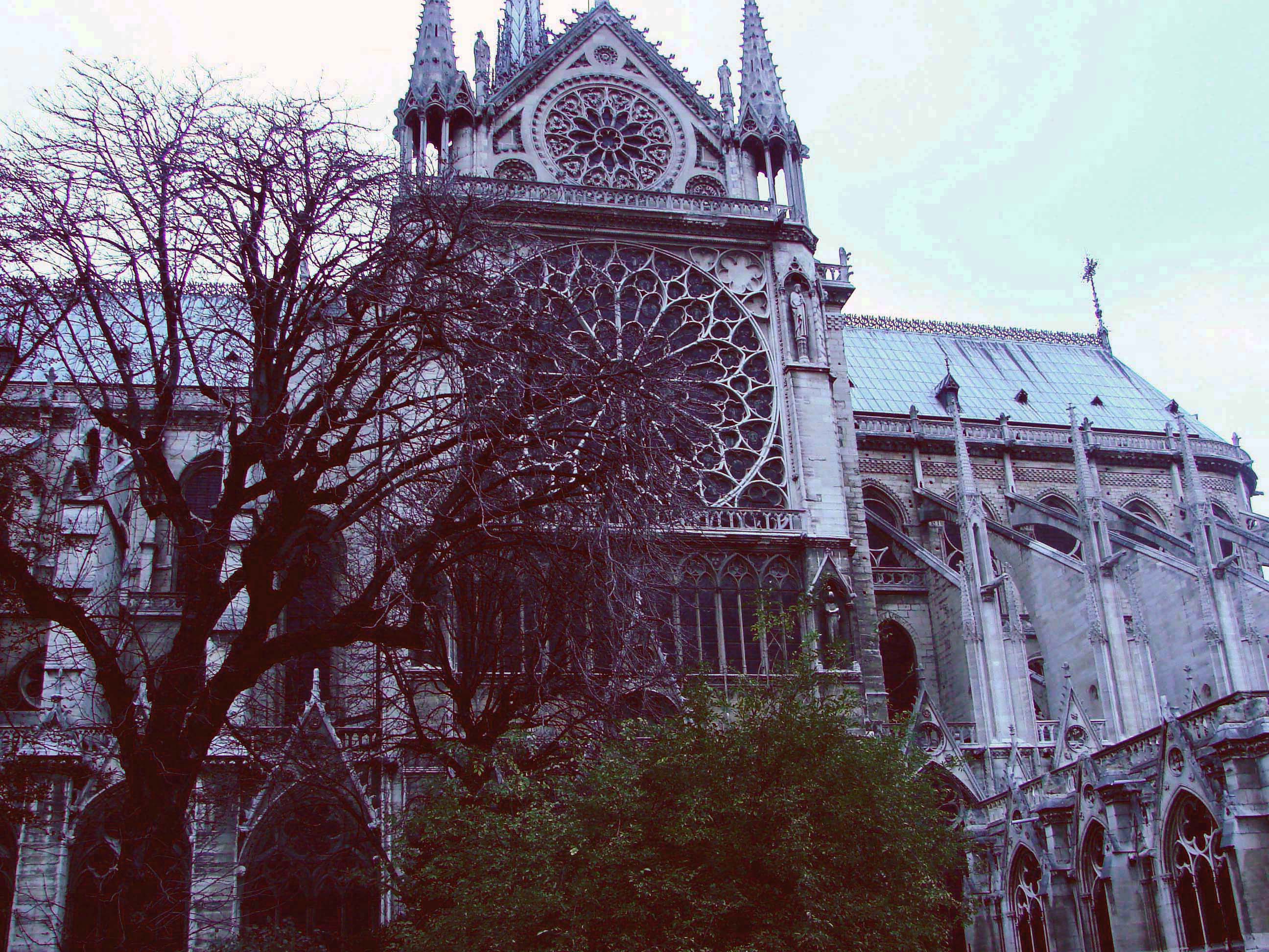 Париж, Франция фото #5325