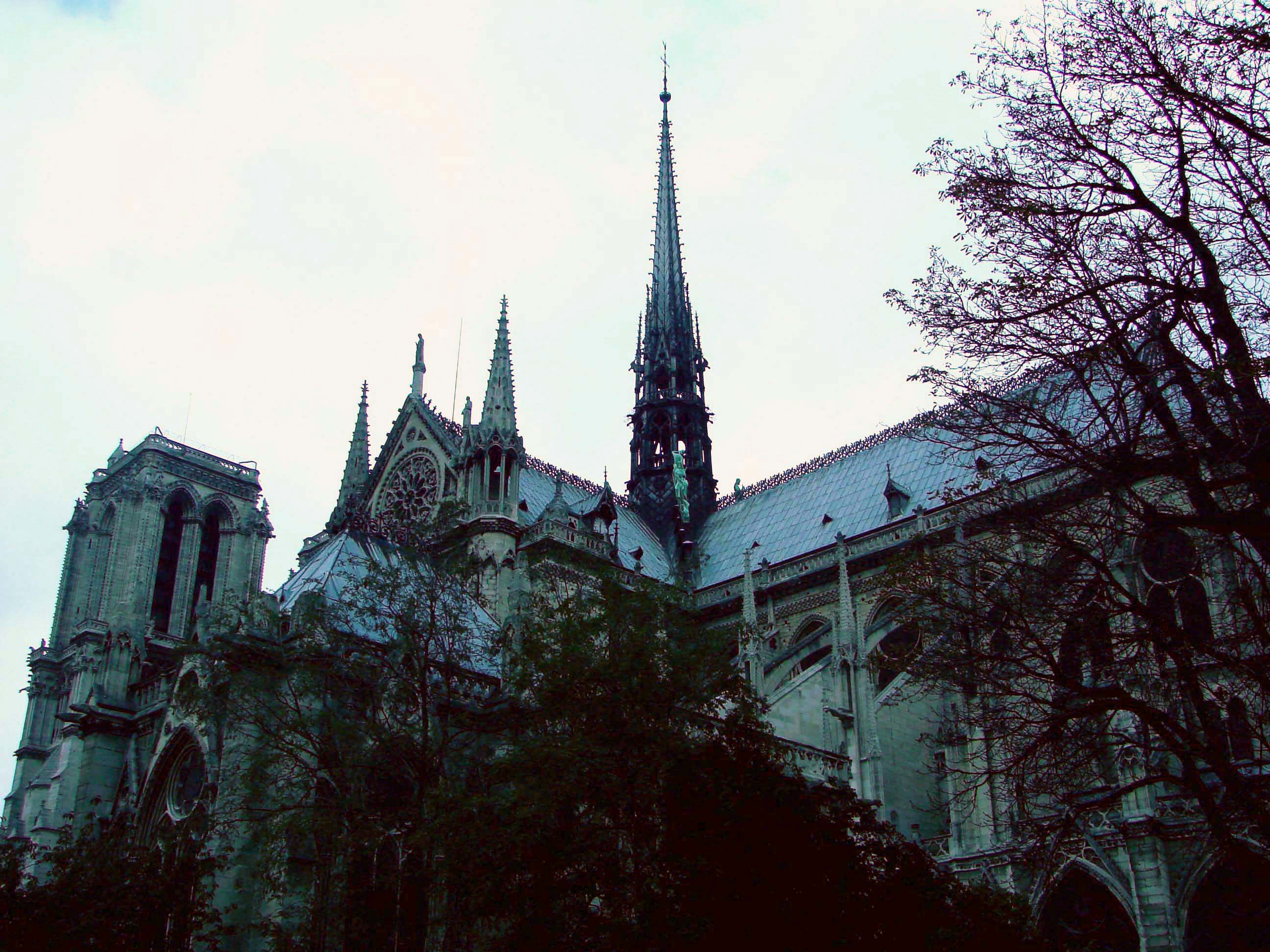 Париж, Франция фото #5326