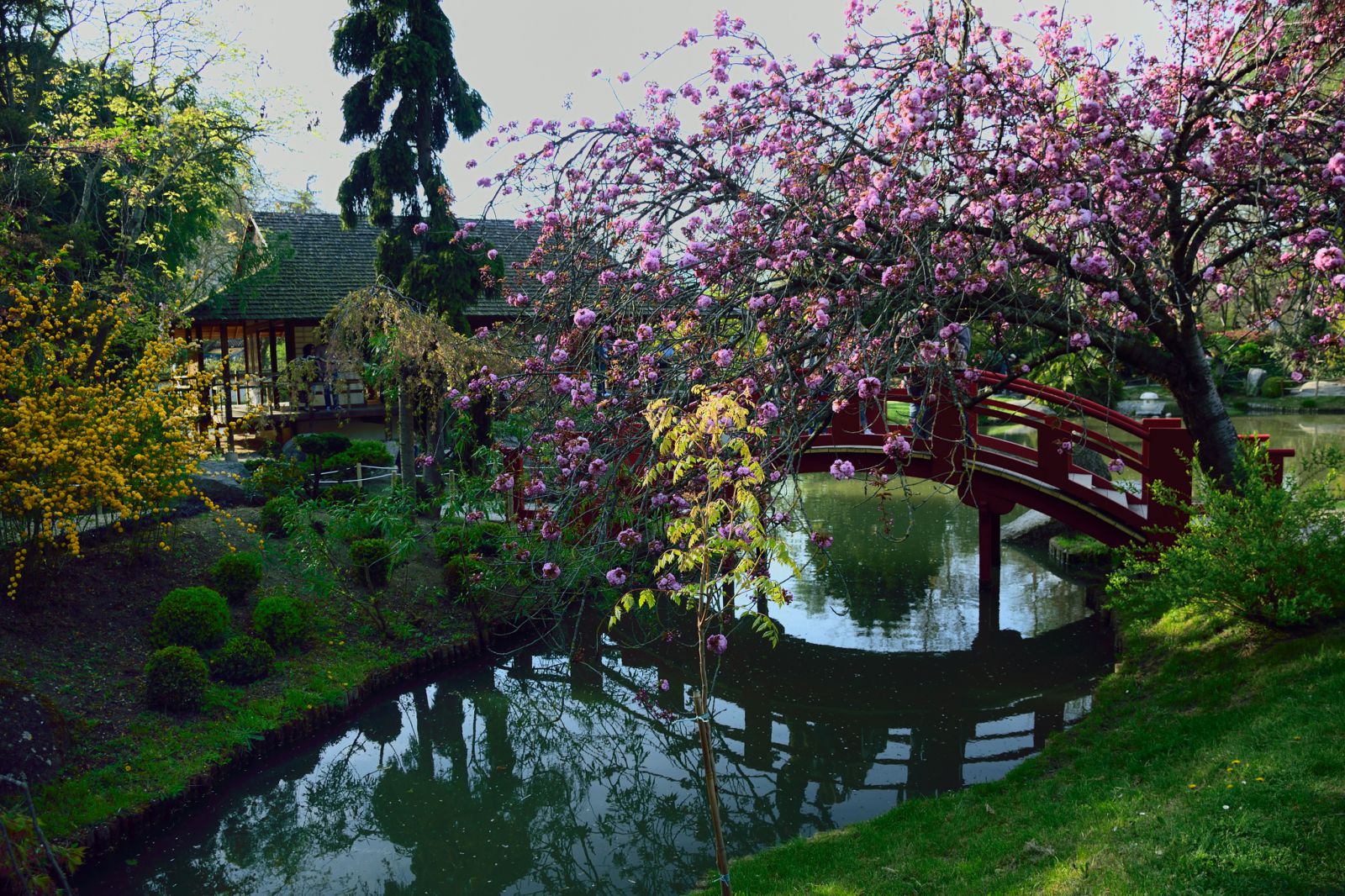 Японский сад в Тулузе - Тулуза, Франция фото #33111