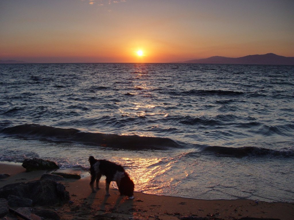 Миконос, Греция фото #20313