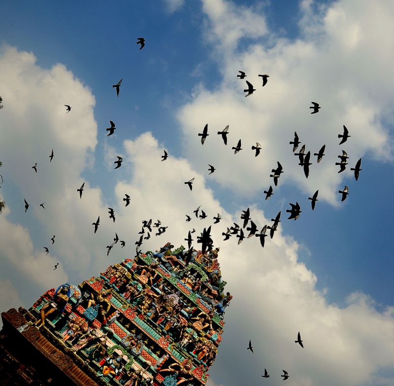 Ченнай, Индия фото #31119
