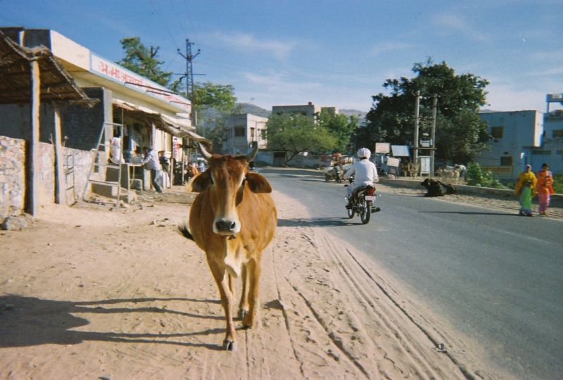 Бодх-Гая, Индия фото #31080