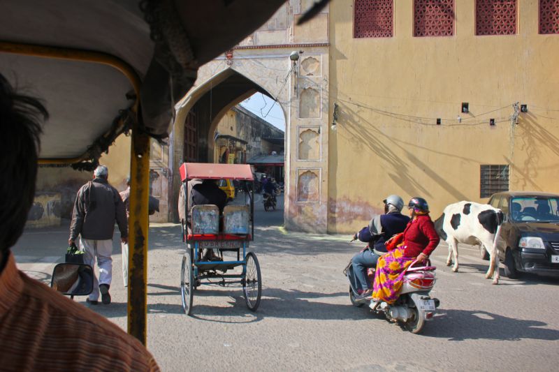 Джайпур, Индия фото #29097