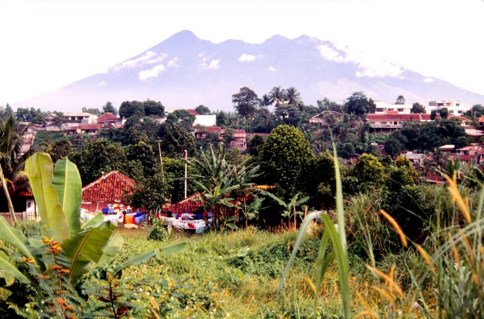 Богор, Индонезия фото #17851