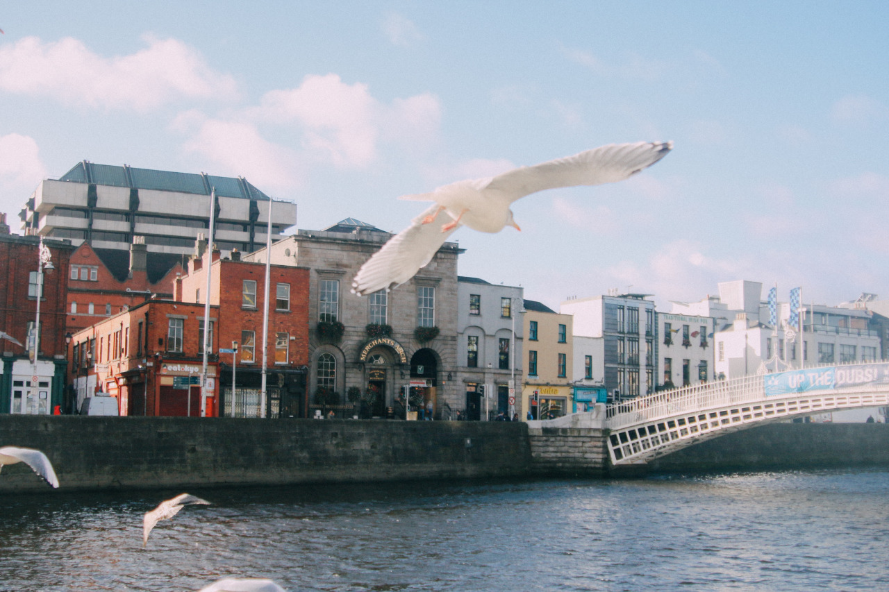 Дублин, Ирландия фото #28203