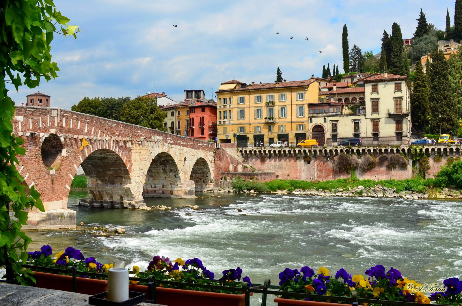 Италия каменный мост. Река Адидже в Италии.
