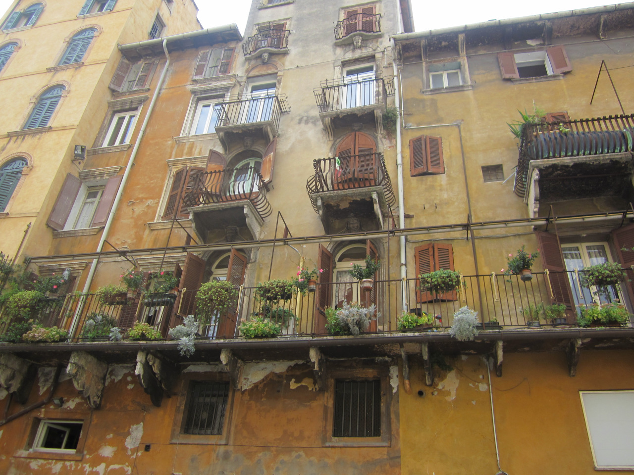 Верона, Италия фото #26437