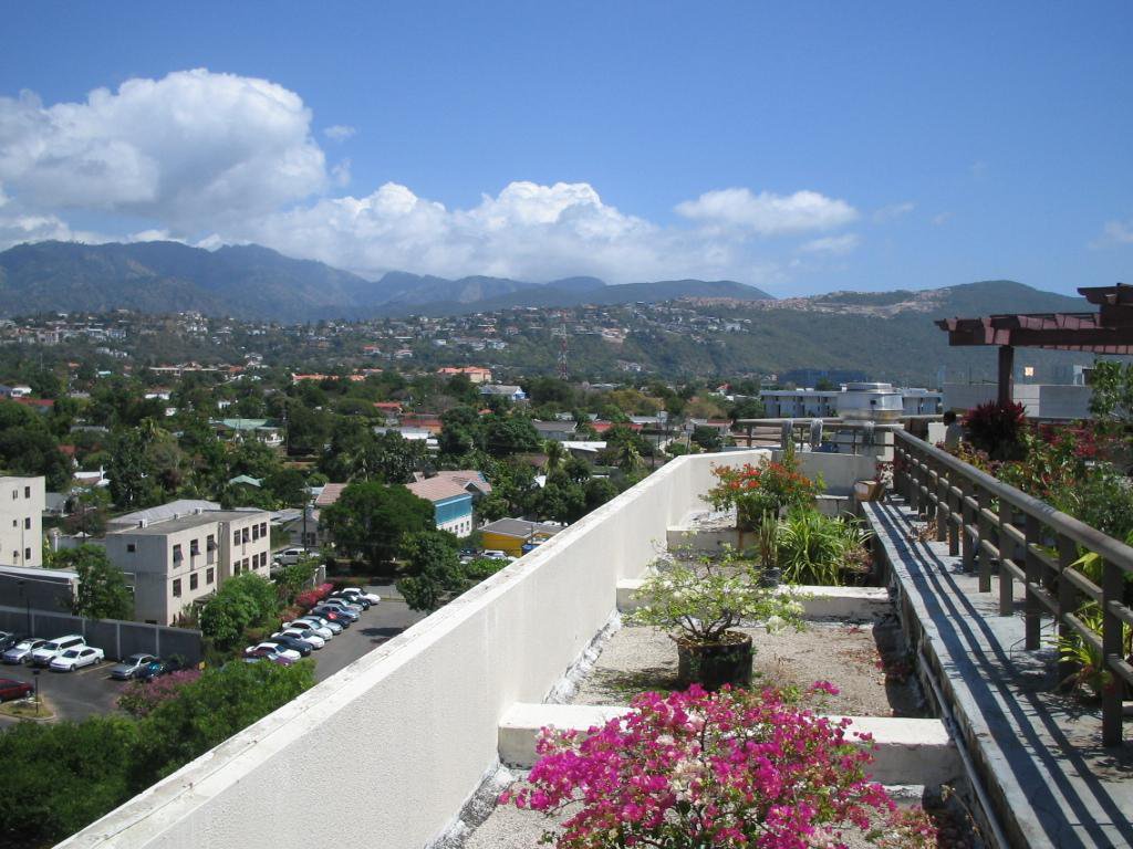 Кингстон, Ямайка фото #17631
