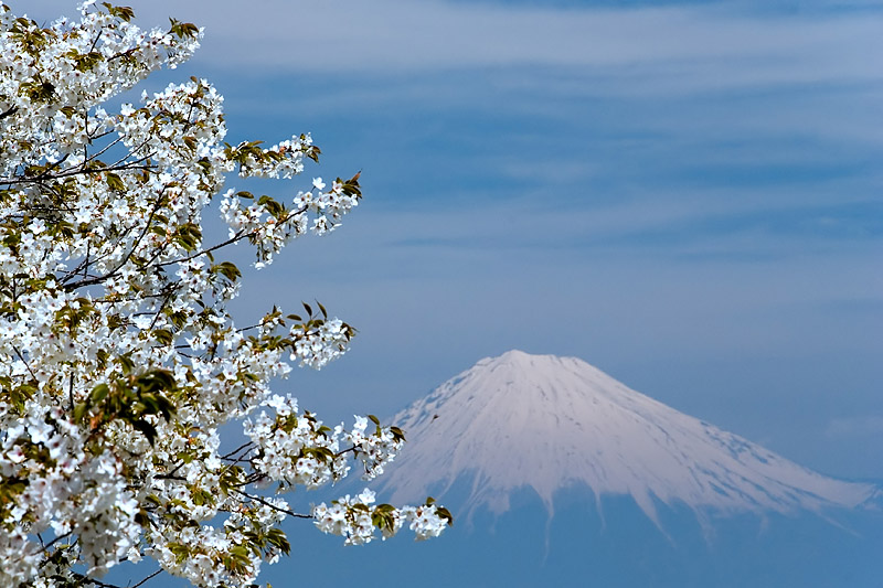 Fuji from Nihondaira - Япония фото #3265