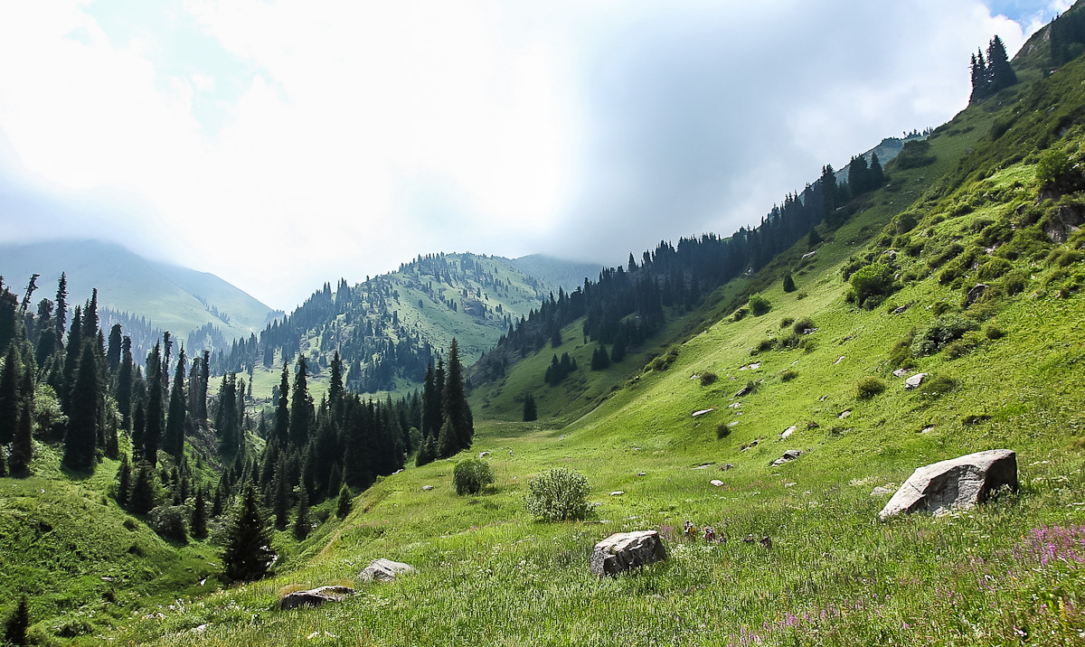 Алатау, Казахстан фото #17929