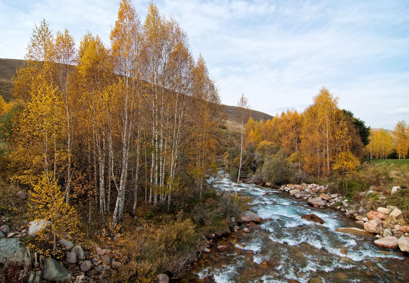 Горный ручей, Алматы - Алма-Ата, Казахстан фото #32955