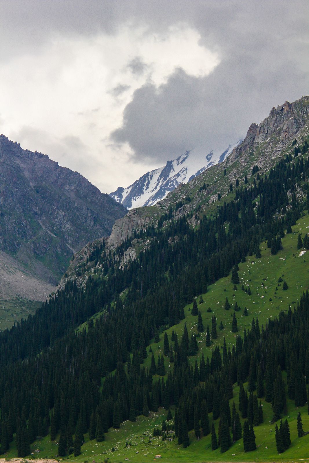 Горы, Алма-Ата - Алма-Ата, Казахстан фото #32975