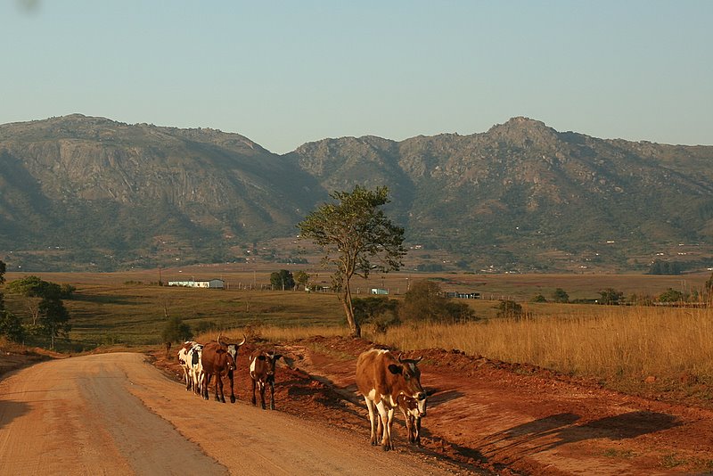 The Wealth of Swaziland - Свазиленд фото #3166