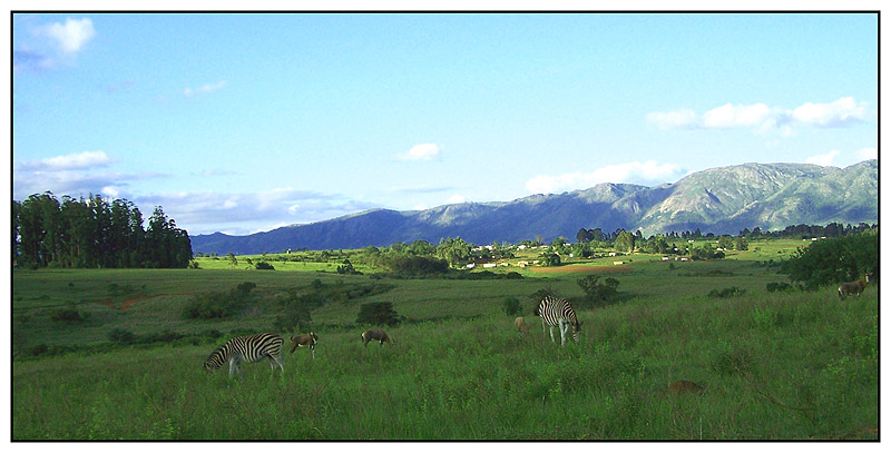 Mlilwane Park - Манзини, Свазиленд фото #3162