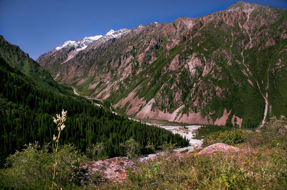 Ала-Арча, Киргизия фото #21691