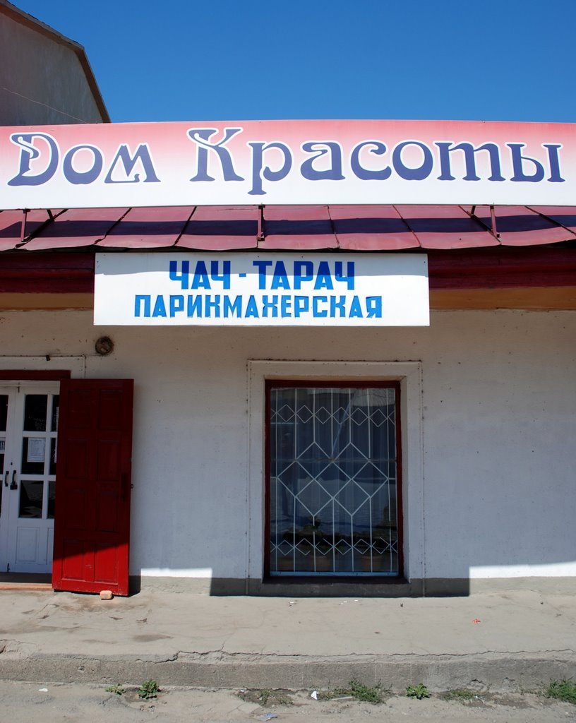 Каракол, Киргизия фото #21659