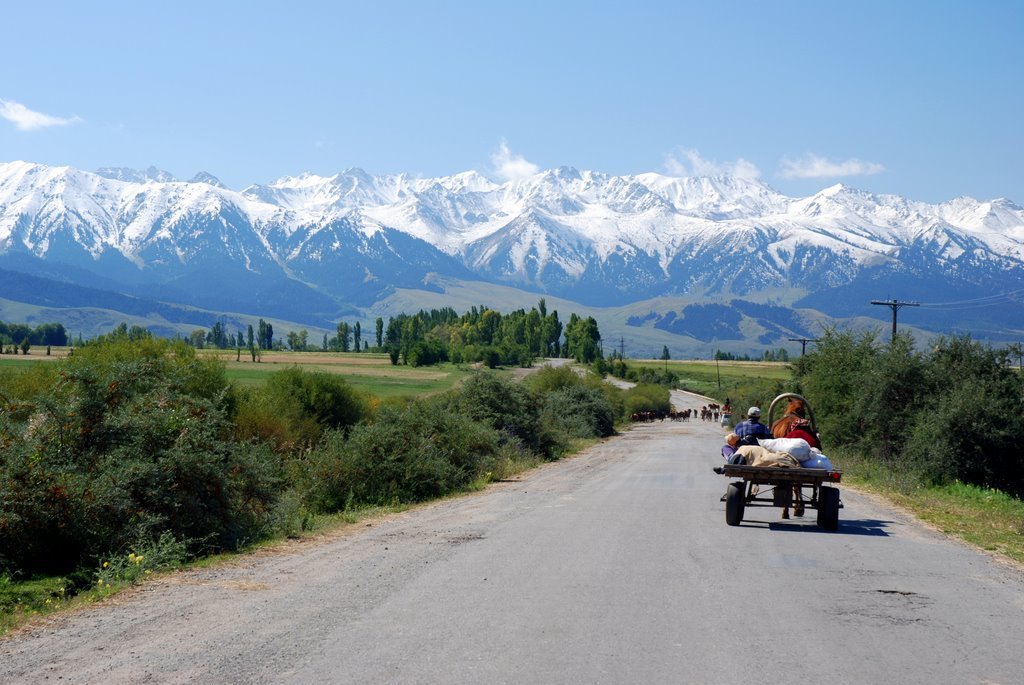 Каракол, Киргизия фото #21665