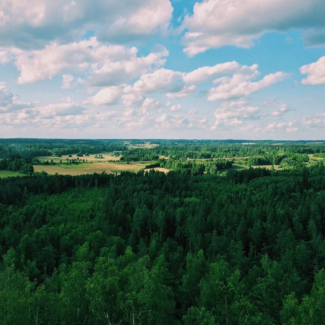 Латгале, Латвия фото #23547